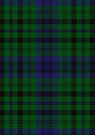 Bailey Tartan Fabric