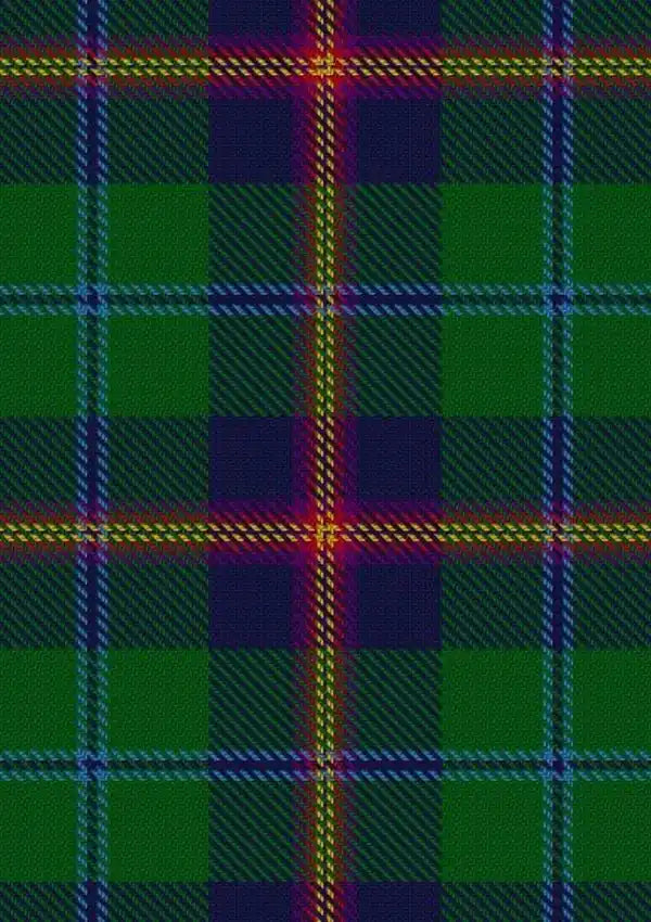 Young Tartan Fabric