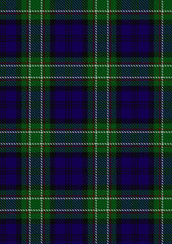 Allen Tartan Fabric