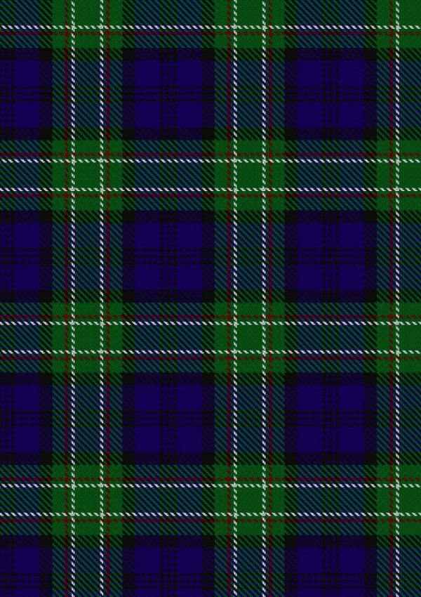 Allen Tartan Fabric