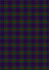 Austin_Wilsons_No137_Tartan_Fabric_269