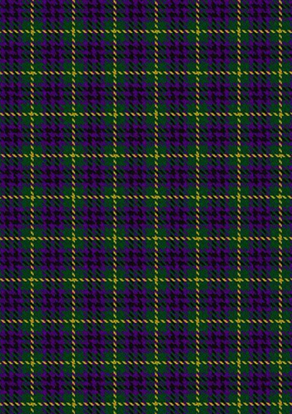 Austin_Wilsons_No173_Tartan_Fabric_306