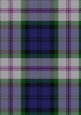 Baird_Dress_Tartan_Fabric_233