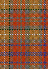 Barnes_Karey_Tartan_Fabric_12346