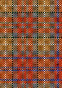 Barnes_Karey_Tartan_Fabric_12346