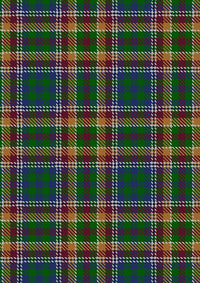 Belwade Tartan Fabric