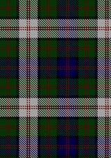 Blair_Dress_Tartan_Fabric_483