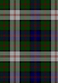 Blair_Dress_Tartan_Fabric_483
