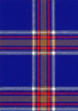 Blue_Rust_Tartan_Fabric