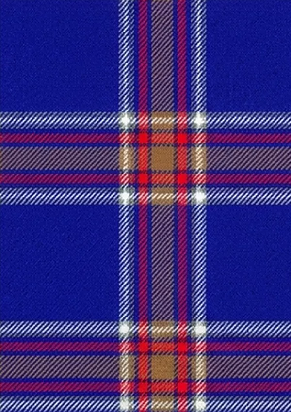 Blue_Rust_Tartan_Fabric