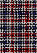 BorderBellTartan