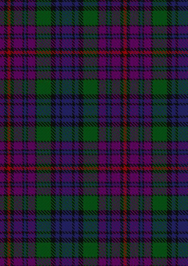 Braid Tartan Fabric