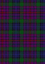 Braid Tartan Fabric