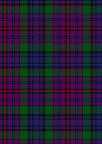 Braid Tartan Fabric