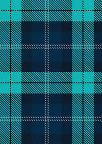 BrewDog_Punk_Tartan_Fabric_13577