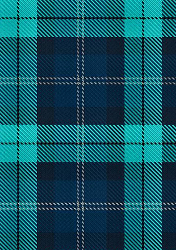 BrewDog_Punk_Tartan_Fabric_13577