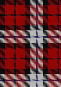 Brodie_Dress_Tartan_Fabric_6283