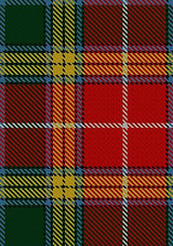 Buchanan_of_Leny_Tartan_Fabric_171