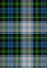 Campbell_Dress_1_Tartan_Fabric_19