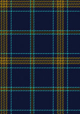 Carroll R & Family Tartan Kilt