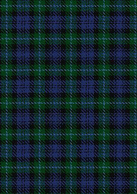 Cheape_of_Torosay_Tartan_Fabric_210
