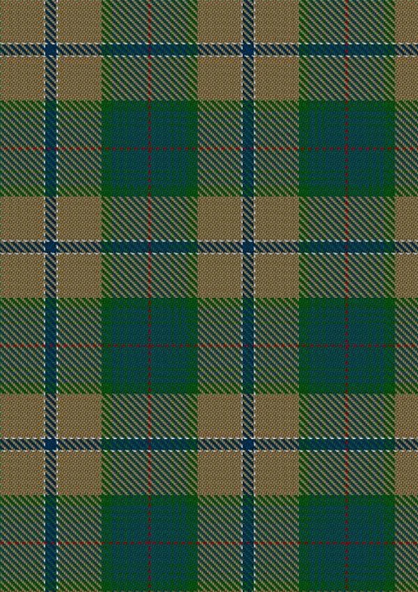 Chisholm_Colonial_Tartan_Fabric_7791