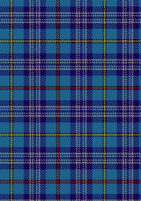 CitadelMilitaryAcademyTartan
