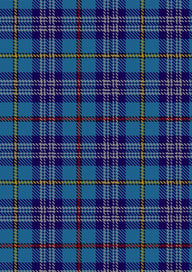 CitadelMilitaryAcademyTartan