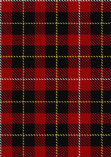 Connel_Tartan_Fabric_1854