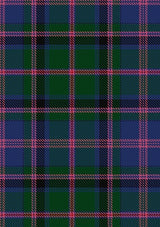 Cooper_Couper_Tartan_Fabric_332