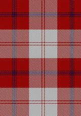 Cunningham_Dress_Tartan_Fabric_563