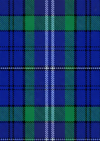 Davies_of_Wales_Tartan_Fabric