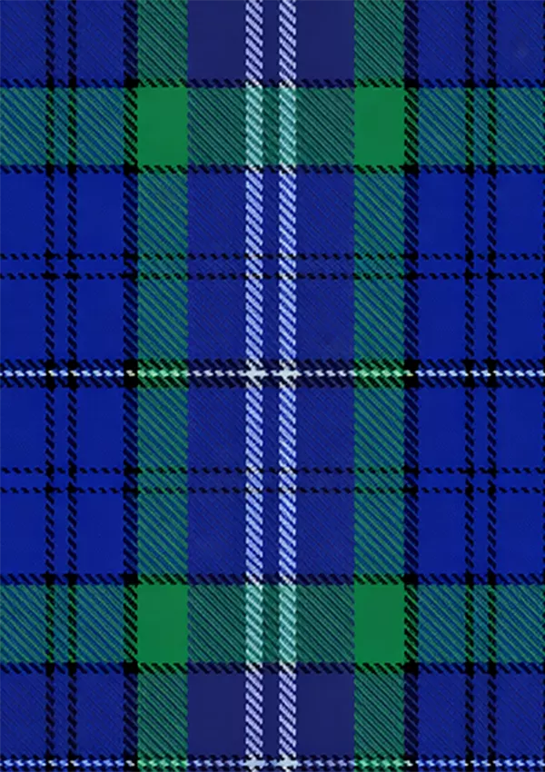 Davies_of_Wales_Tartan_Fabric