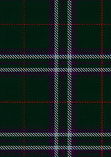 Devlin_David_Roddie_Tartan_Fabric_13911