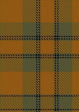Donachie_of_Brockloch_Ancient_Hunting_Tartan_Fabric_6004
