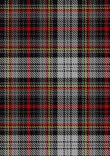 Douglas_Ancient_Dress_wcwm_Tartan_Fabric_1310