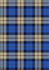 Elliott Lynn & Family Tartan Kilt