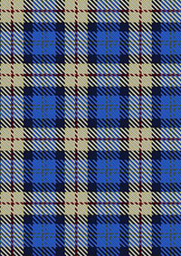 Elliott Lynn & Family Tartan Kilt