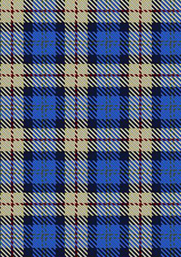Elliott Lynn & Family Tartan Kilt