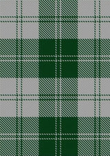 Erskine_Green_Tartan_Fabric_941