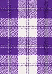 Erskine_Purple__Tartan_Fabric