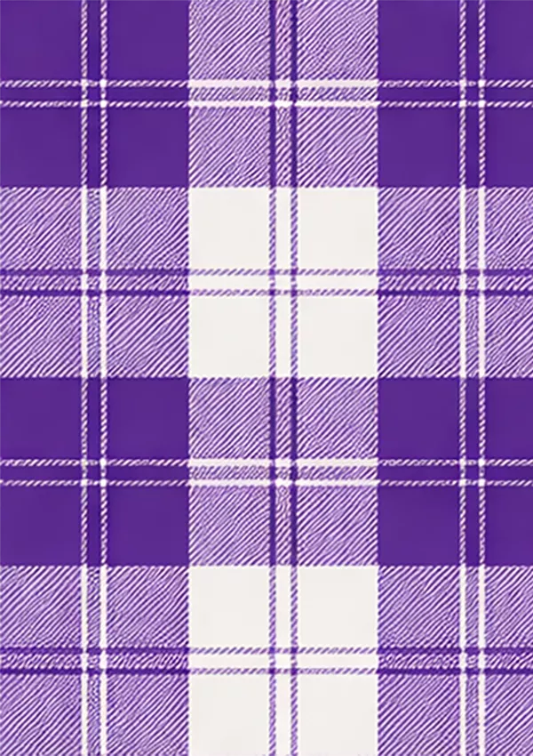 Erskine_Purple__Tartan_Fabric