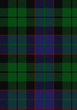 Ferguson_of_Balquhidder_Tartan_Fabric_738