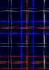 Fitzgerald_Hunting_Tartan_Fabric_1336