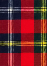 Forrester_Modern_Tartan_Fabric