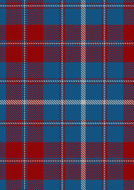 Frame Tartan Fabric