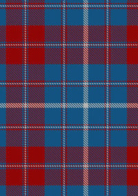 Frame Tartan Fabric