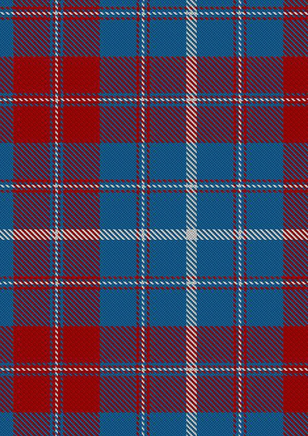 Frame Tartan Fabric