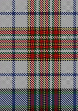 Gayre_Arisaidh_Tartan_Fabric_176
