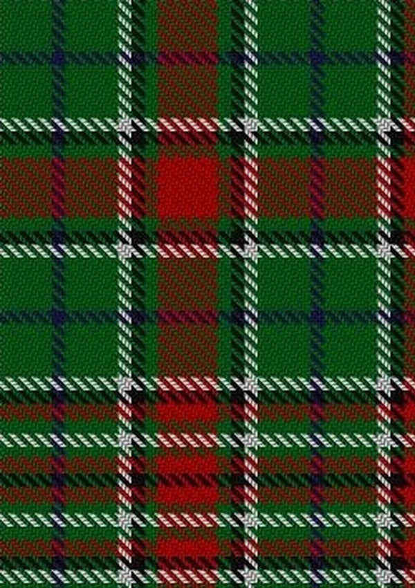 Gayre_Bodyguard_2_Tartan_Fabric_1154